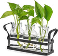 3-Jar Propagation Metal Stand with Glazed Finish Desktop Terrarium Glass Vase for Hydroponic Plants Home Office Garden Decor