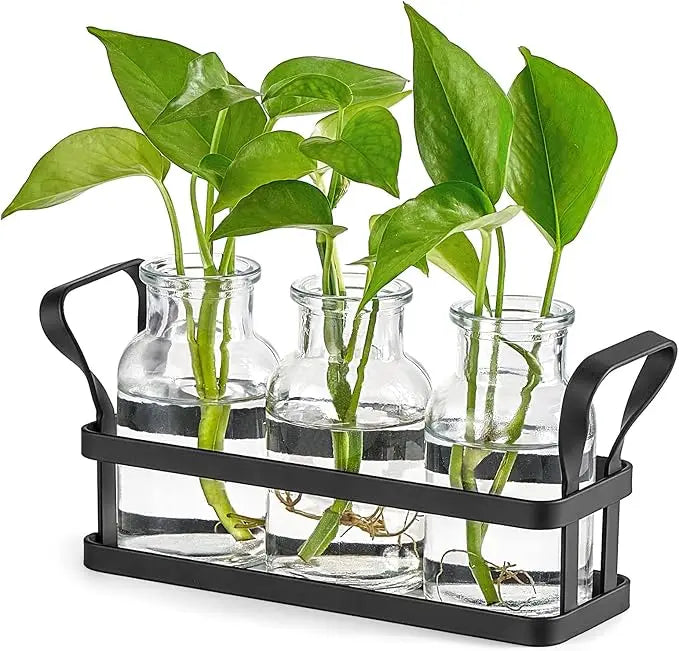 3-Jar Propagation Metal Stand with Glazed Finish Desktop Terrarium Glass Vase for Hydroponic Plants Home Office Garden Decor