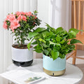 Brice Large Self Watering Outdoor Garden Planters Artificial Flowers Home Nordic Style PP Material 10-year Indoor/Outdoor