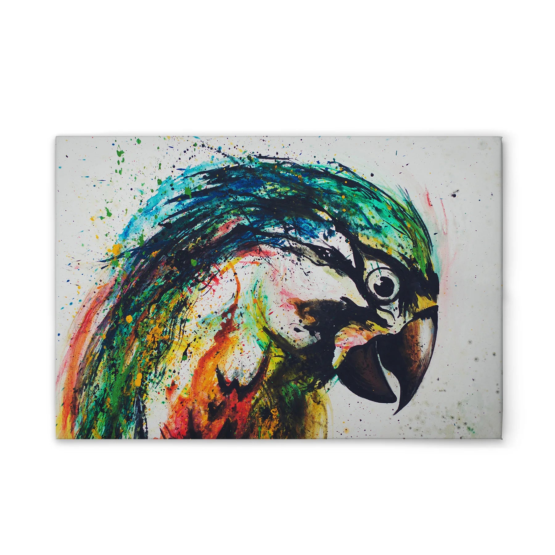 Made In Germany - Home Decor Canvas Picture Colourful Parrot - Wall Painting Mural In Colourful And Cream - Stretcher Frame Art