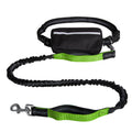 RTS Dual-Padded Dog Leash Set Reflective Stripe Waist Bag Green Color Fashion Style Alloy Nylon Plastic Handle Made Polyester