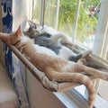 Wall Mounted Hanging Bed Kitten Resting Sunny Seat Cat Window Perch Cat Hammock with Suction Cups