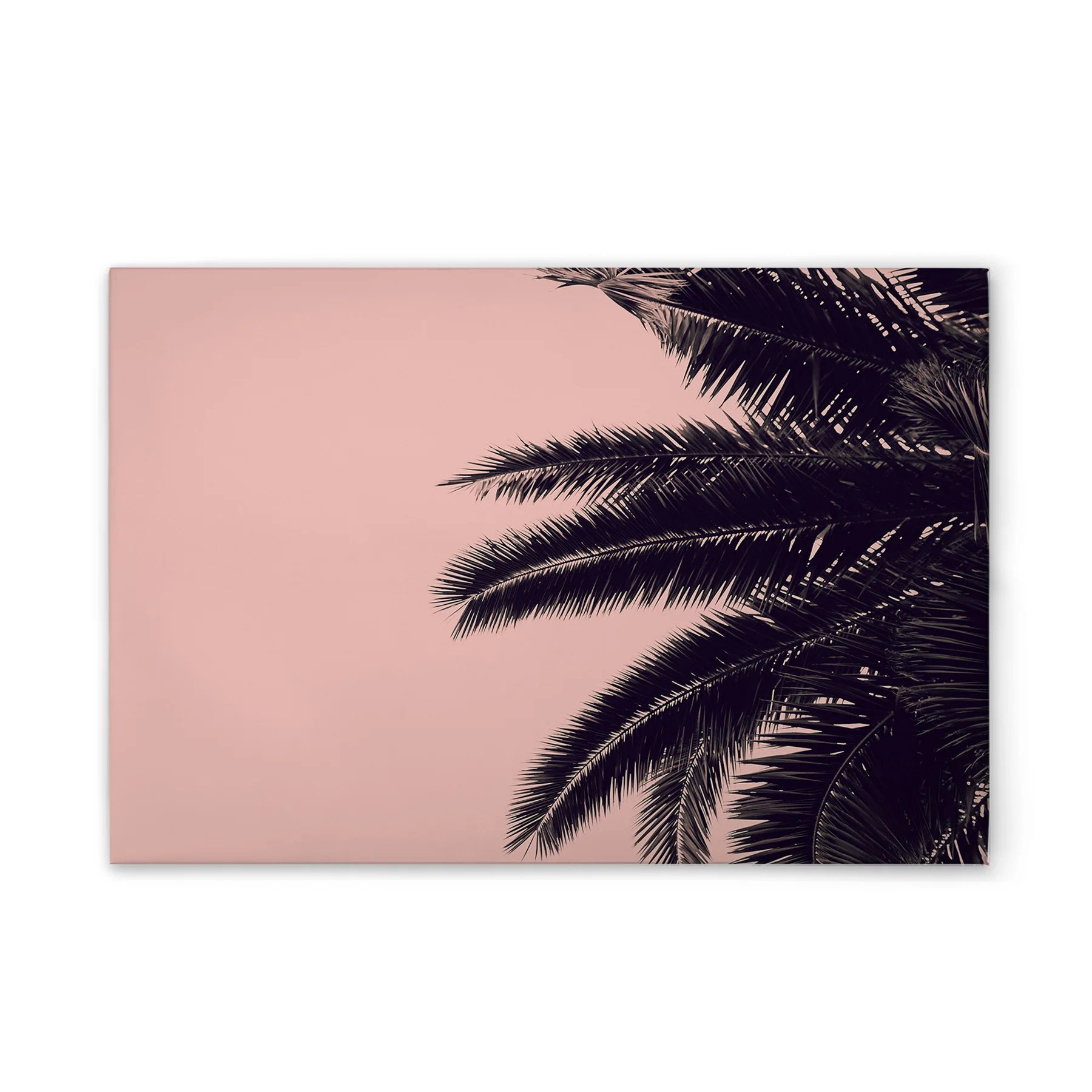 Made In Germany - Home Decor Canvas Picture Palm Leaves Pink - Wall Mural In Pink And Black - Canvas Picture On Stretcher Frame