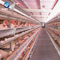 Automatic a Type Galvanized Battery Chicken Layer Cages/chicken Coops for Egg Chicken Laying/battery Poultry Laying Hens