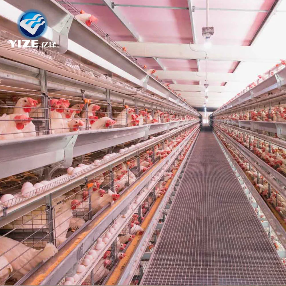 Automatic a Type Galvanized Battery Chicken Layer Cages/chicken Coops for Egg Chicken Laying/battery Poultry Laying Hens