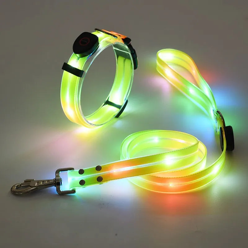 Electronic LED Pet Dog Collar Waterproof Reflective Adjustable Flash Recharge Pet Collars Leash for Dogs Night Anti-Lost