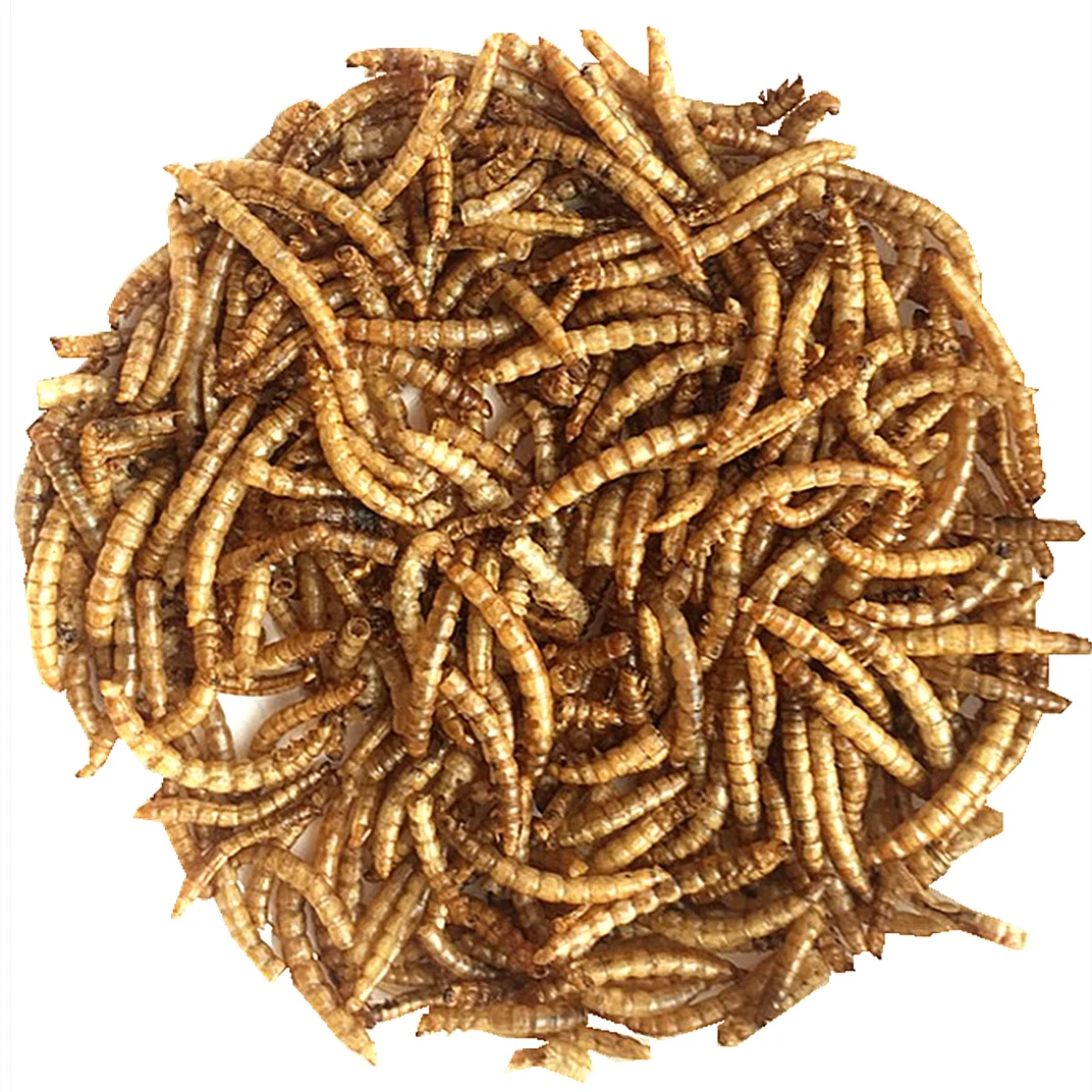 100% Non Gmo Natural Dried Mealworm