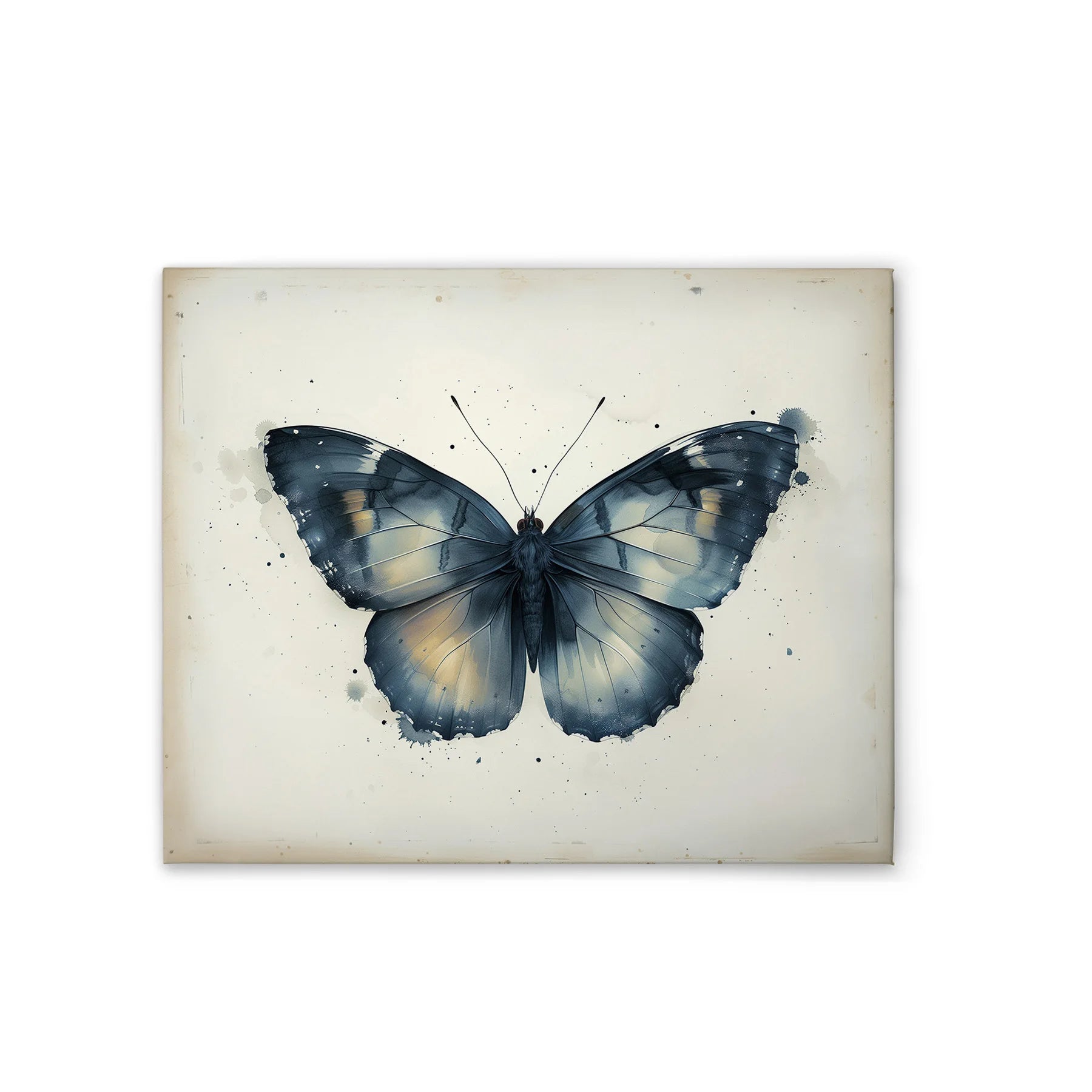 Made In Germany - Home Decor Canvas Picture Butterfly Vintage Blue - Wall Painting Mural In Beige And Blue - Stretcher Frame Art