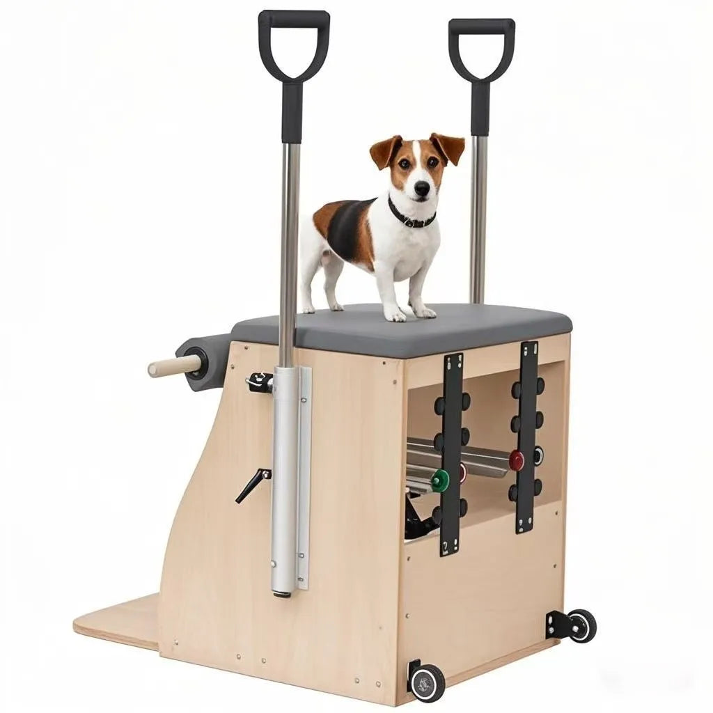 MAIBO Home Fitness Equipment Oak Wood Wunda Chair Pilates Reformer Machine Combo Stable Pilates Workout Eco-Friendly Lifetime