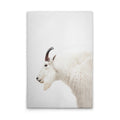 Made In Germany - Home Decor Canvas Picture Animals Goat - Wall Mural In White And Cream - Canvas Picture On Stretcher Frame
