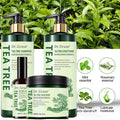 OEM/ODM Dandruff Hair Thickening Moisturizing Natural Growth Tea Tree Hair Shampoo and Conditioner Set