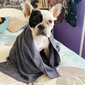 Premium High Absorbency Microfiber Dry Bath Towel for Dog Cat Pet Grooming Sustainable Fiber All Seasons Bathroom Cleaning