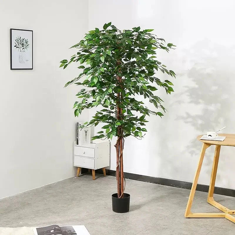 Elegant Real Touch Plastic Artificial Ficus & Olive Tree Eco-Friendly Customizable Sizes Decor for Weddings & Events