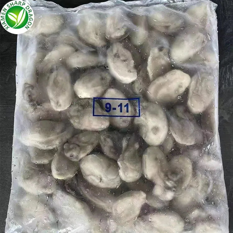 SD IQF Frozen Oyster Meat From China Boxed Freshwater Oysters MegaBDM