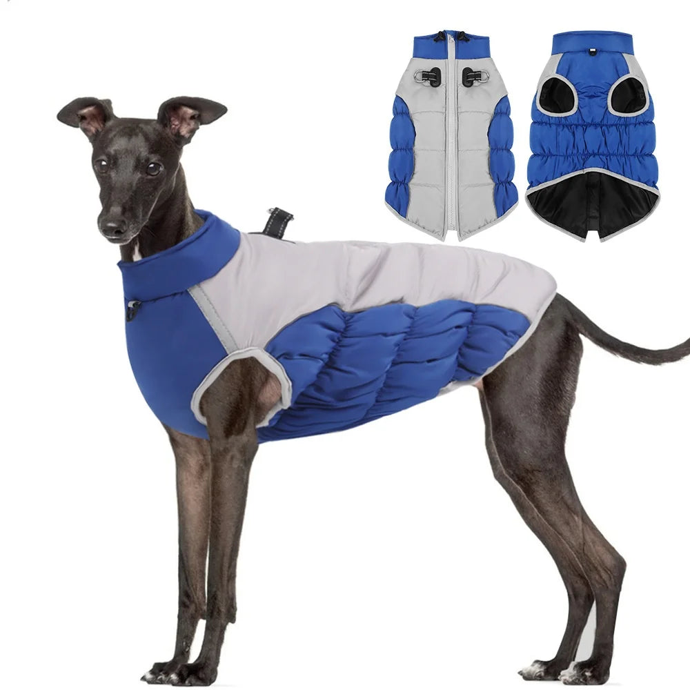 New Design Thick and Warm Dog Clothing Winter Cotton Dog Jacket Abdominal Elastic Belt Jacket