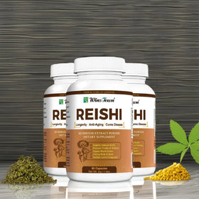 Reishi Mushroom Extract Fruiting Body Verified Immune Support Wellness Natural Longevity Supplement