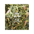 Traditional Herb Dried Male Papaya Flower for Daily Herbal Infusion