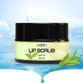OEM Oalen Wholesale Private Label Green Tea Lip Scrub Exfoliating Natural Vegan Cream Waterproof with Herbal Ingredients
