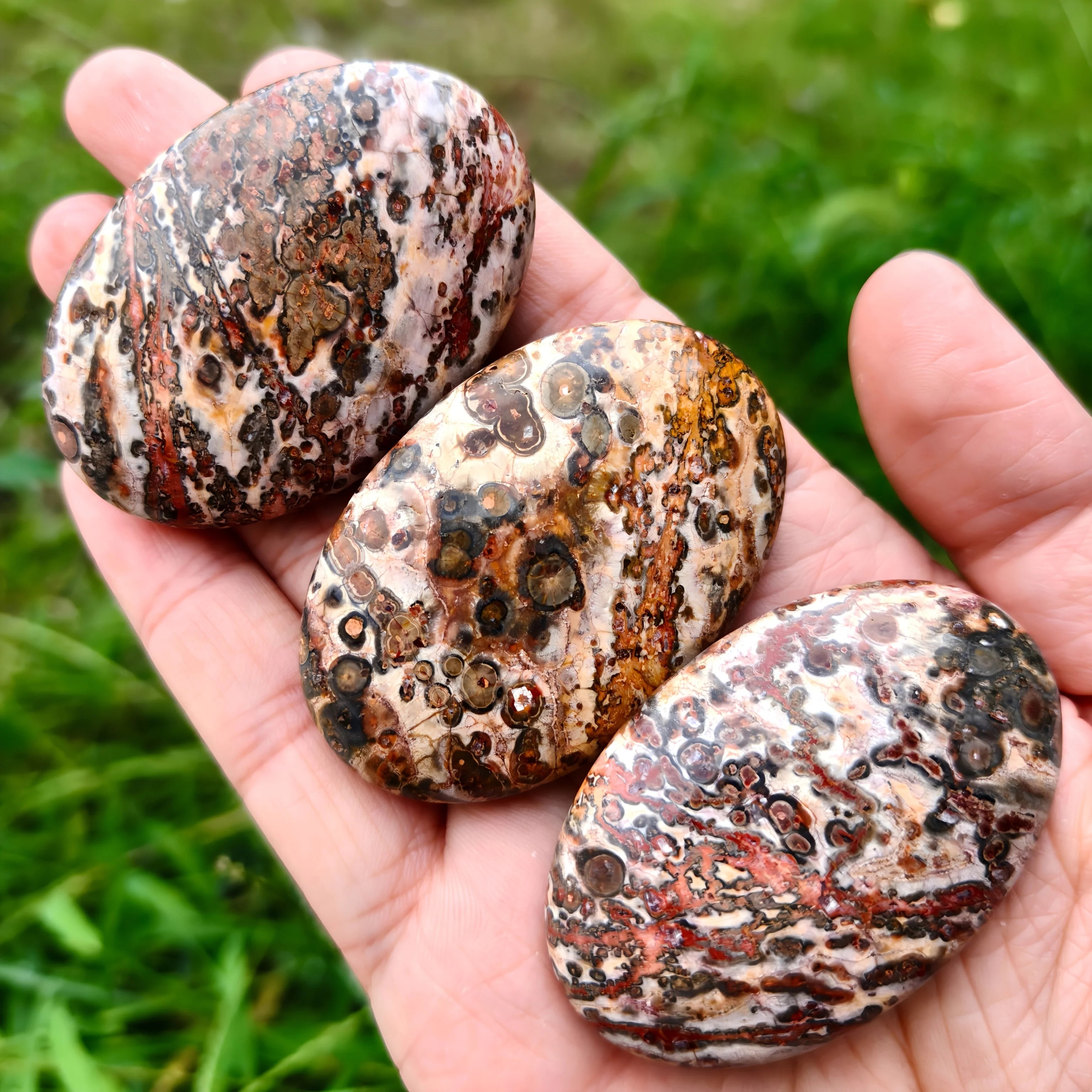 Wholesale Natural Leopard Print Palm Stone for Making DIY Crafts Home Decor Christmas Fathers Day Gifts
