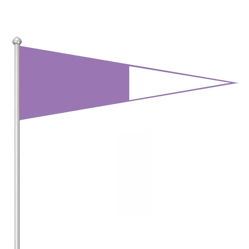 Promotional Product - Generation Left Blue Right White Triangle Flag 100%Polyester Printed International Signal Flag
