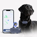 Wireless 4G GPS Dog Fence Remote Control Tracking System Light Voice Search Support for Beidou GLONASS LBS Positioning Modes