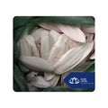 Hot Selling Calcium Cuttlefish Bone for Birds and Reptiles Sustainable Beak Chew and Shell Conditioner from Vietnam