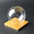 Glass Plant Terrarium with Wood Base Ventilation Terrarium for Plant Desktop 10cm 8cm DIY Fish Tank Round Glass Aquarium