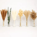 Eco-Friendly Premium Quality Pampas Grass Eucalyptus Bunny Tail Set Natural Dry Wholesale Christmas Easter Valentine's Day
