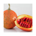 TOP QUALITY IQF Frozen Gac-Direct From Vietnamese Farm
