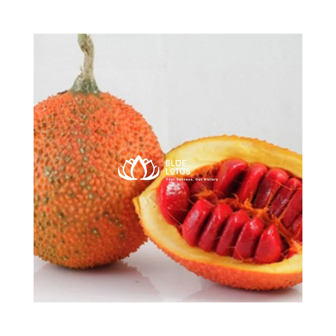 TOP QUALITY IQF Frozen Gac-Direct From Vietnamese Farm