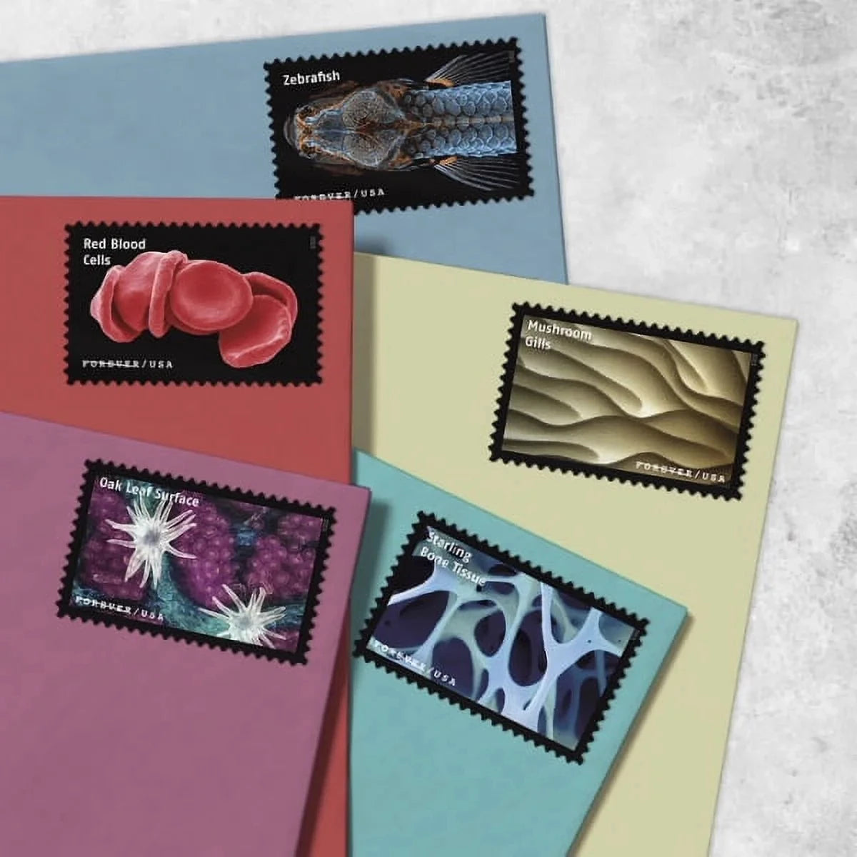 First Class Usa Forever Postage Mailing Stamps Stickers Us Post Mail Stamp Sticker love Collection American Stamp for Collection