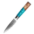 FINDKING Damascus Steel Knife 67 Layer Small Fruit Peeling Salad Knife 3.5 Inch Paring Knife with Blue Resin Sapele Wood Handle