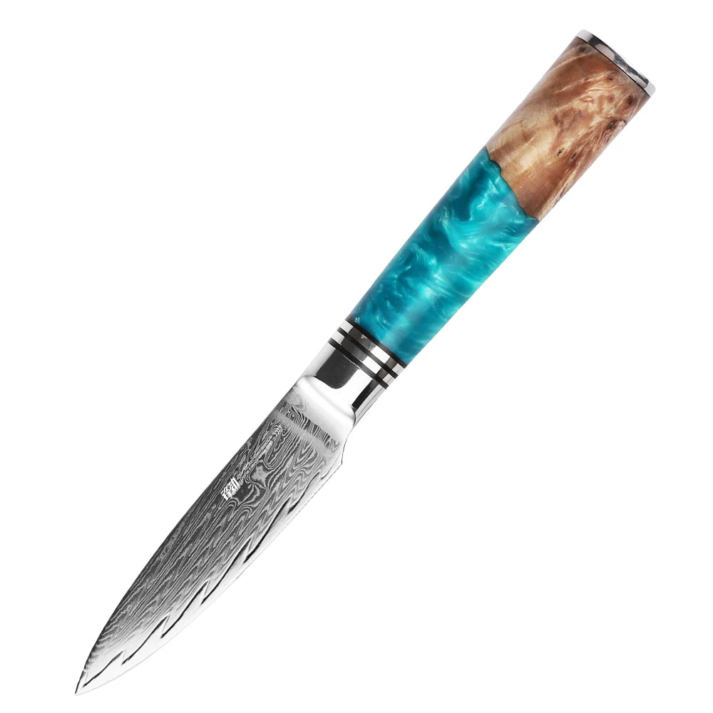 FINDKING Damascus Steel Knife 67 Layer Small Fruit Peeling Salad Knife 3.5 Inch Paring Knife with Blue Resin Sapele Wood Handle