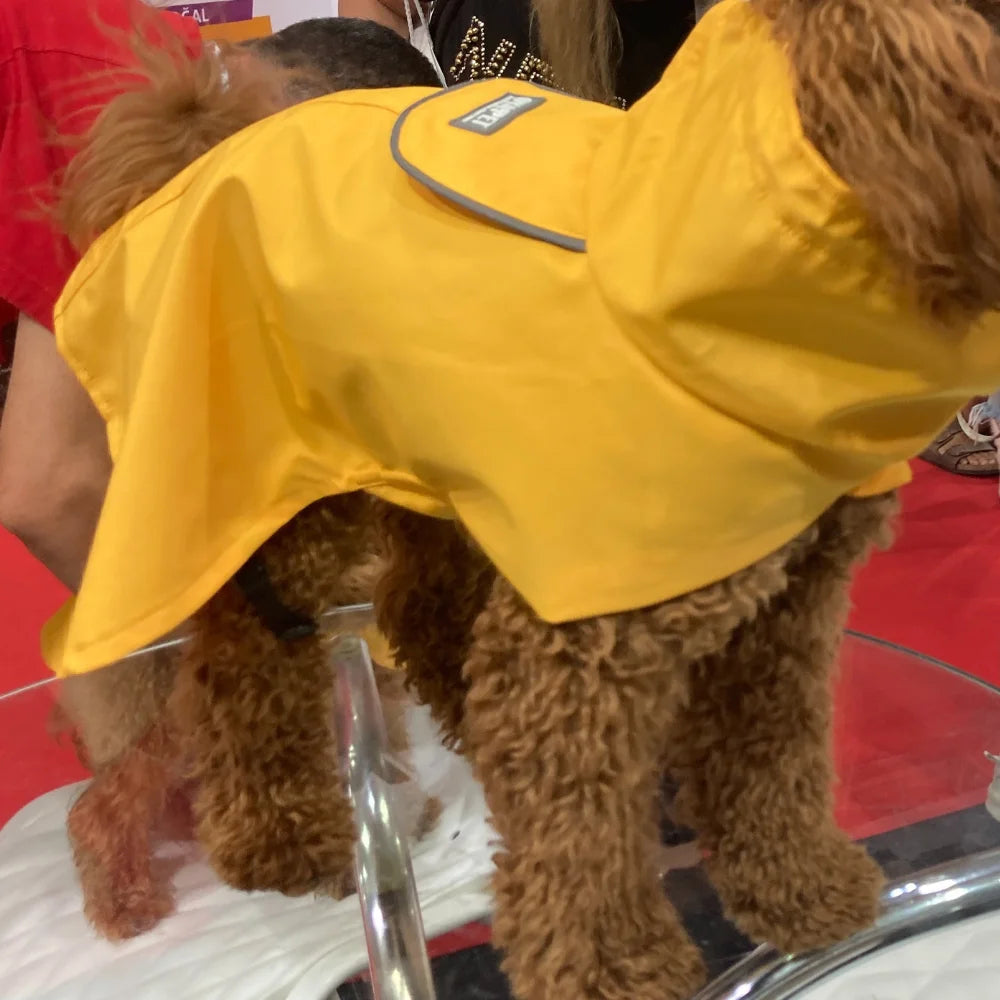 Modern Design Polyester Dog Jacket Solid Windproof Pet Rain Coat Spring Summer Winter Stylish Outdoor Use Customized Color