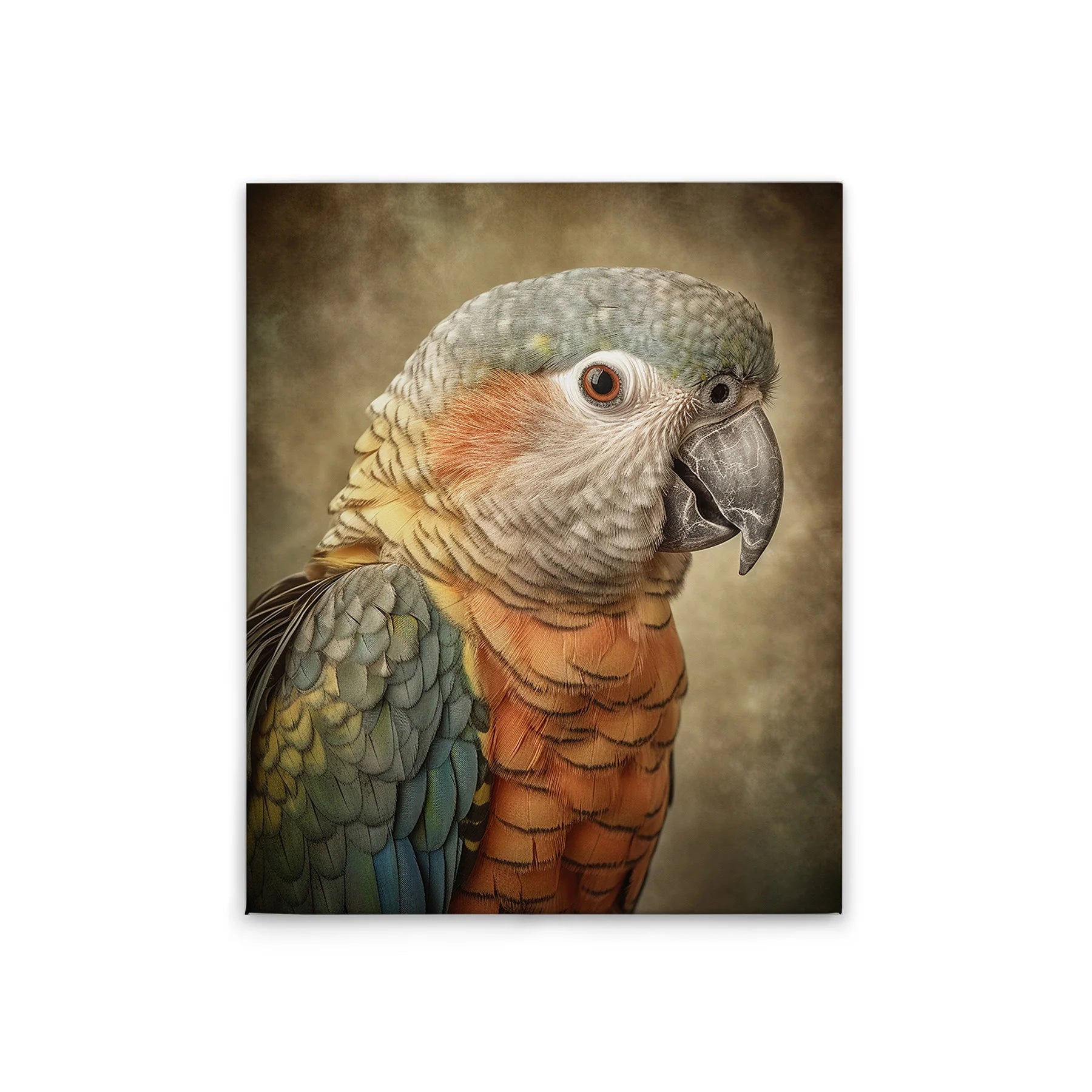 Made In Germany - Home Decor Canvas Picture Parrot - Wall Mural In Colourful And Orange - Canvas Picture On Stretcher Frame