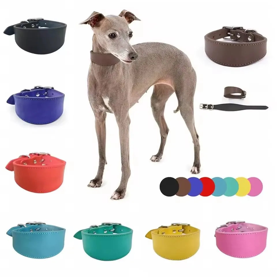 Natural Cow Leather Caramel Wide Sighthound Saluki Greyhound Dog Collar for Long Neck Dog