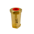 Dh22f-40p Low Temperature Cryogenic Check Return Valve DN15 Pn40 MegaBDM