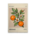 Made in Germany Modern Home Decor Canvas Picture Wooden Stretcher Frame Retro Look Oranges Wall Mural Beige Green Art