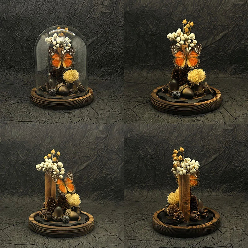 Popular Natural Butterfly Insect Preserved Flower Arrangement Butterfly Specimen