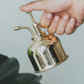 250ml Vintage Stainless Steel Plant Mister | Metal Watering Sprayer for Indoor Plants & Humidifying