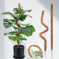 Wholesale 100cm Bendable Coir Tube Moss Poles for Home & Garden with Galvanized Finish Enhances Monstera Plant's Natural Beauty