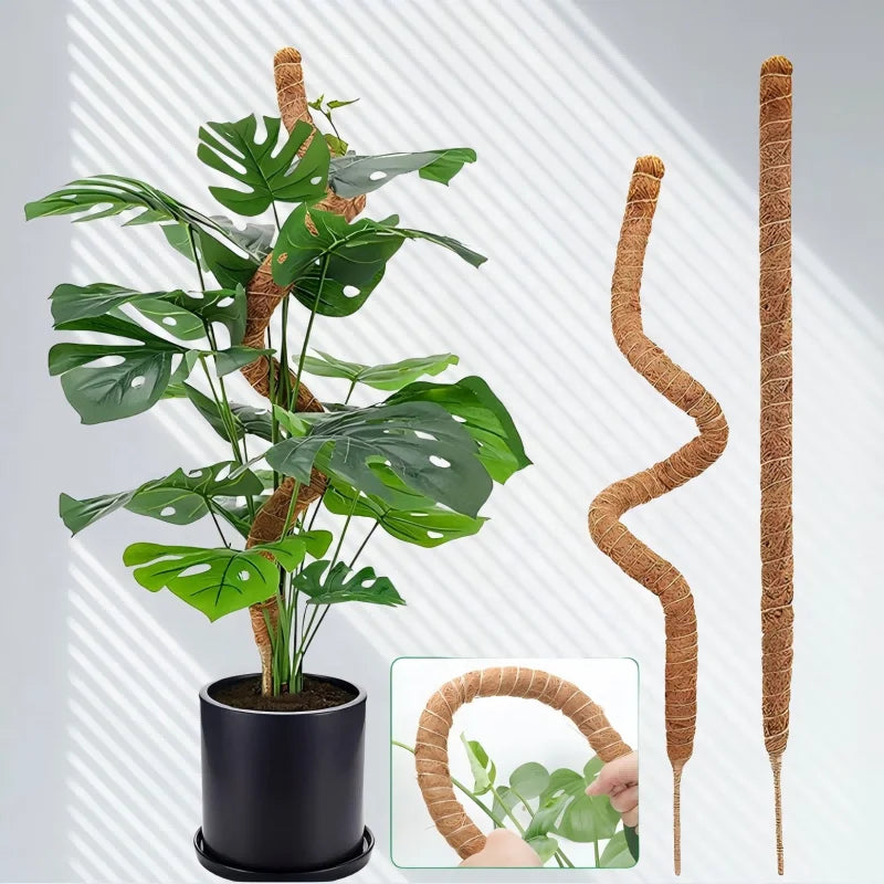 Wholesale 100cm Bendable Coir Tube Moss Poles for Home & Garden with Galvanized Finish Enhances Monstera Plant's Natural Beauty