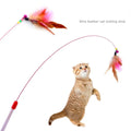Royal Blue Retractable Funny Pet Toys Wood Stick Rod fairy Interactive Teaser Wand Indoor Chicken Feather Toy for Cat Game