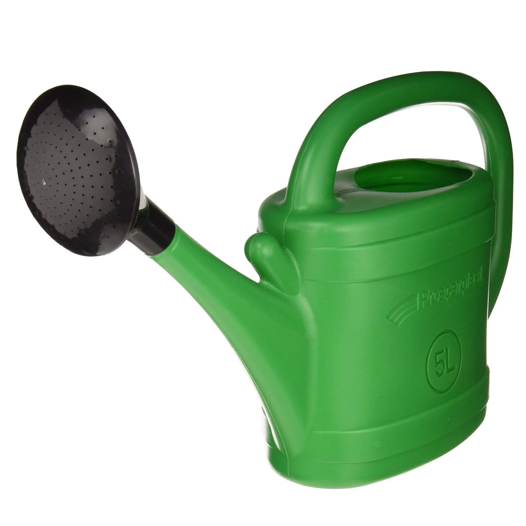 Spring 5 liter green watering can with shower-shaped diffuser