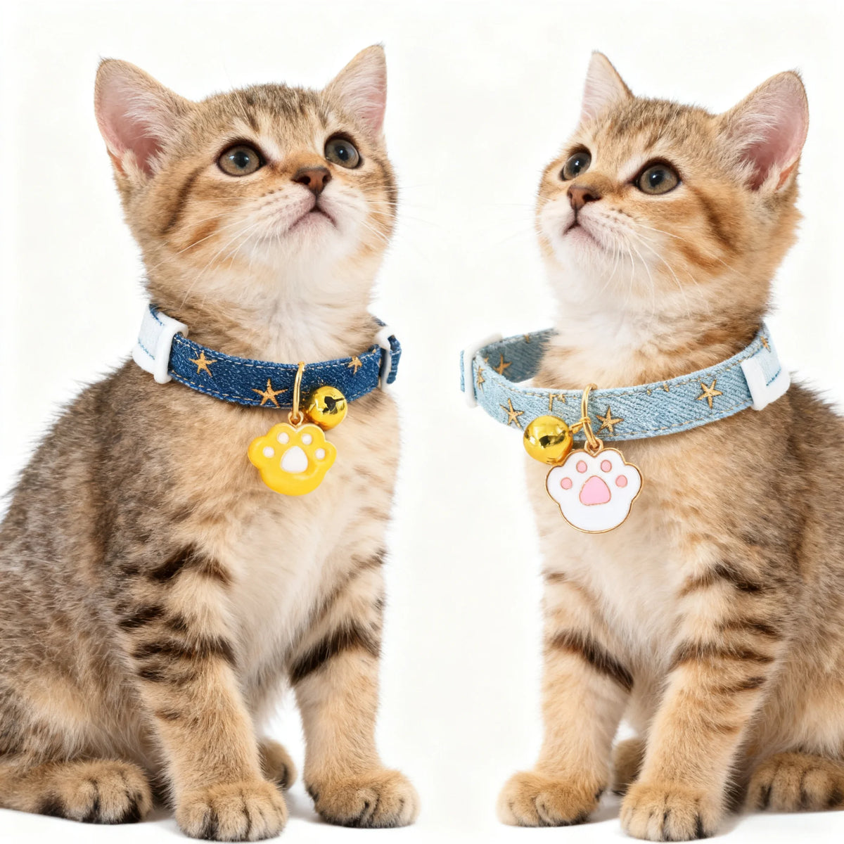 Little Paw Pet Collar Stylish Soft Elegant Lightweight Eco-Friendly Polyester Dog Cat Adjustable Comfortable Breakaway MegaBDM