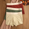 High Quality New Arrival Jacquard Cotton Pants Men's Underwear Boxer Briefs with Mid-Rise Waist Breathable