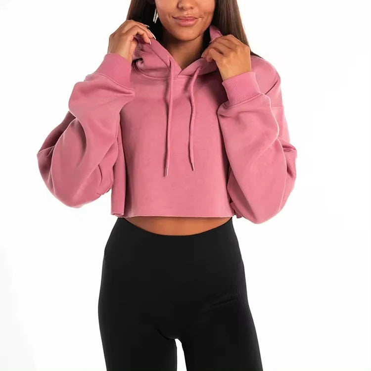 Custom Women's Sweatpants and Jogger Hoodies Set Plus Size Two Piece Clothing Streetwear for Women Tracksuit Manufacturers