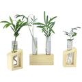 3Pcs Wholesale Wooden Plant Propagation Station with 4 Glass Test Tubes Modern Design Indoor Use Terrarium Vase & Propagator Kit
