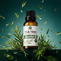 Wholesale Natural Tea Tree Essential Oil 30ml Premium Plant Oil for Personal Care Spa and Hair Care MegaBDM