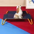 UFBemo 2024New Product Explosion Modern Summer Waterproof Elevated Durable Soft Pet Dog Bed Pet Sofa